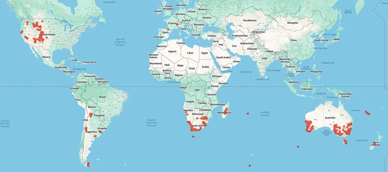 collecting world locality map for 'Bayer, R.J.'