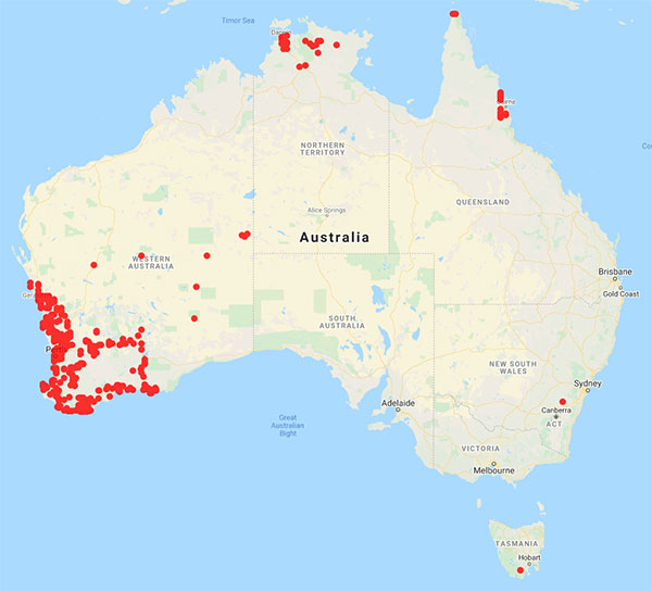 Australian collecting locality map for 'Carlquist, S.'