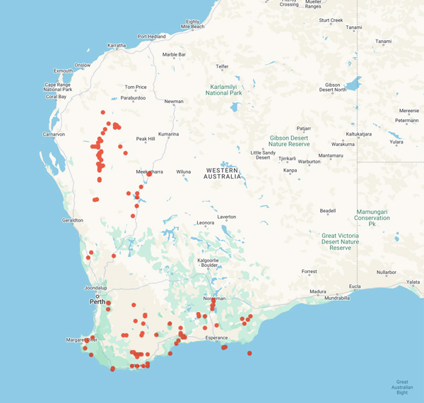 collecting locality map for 'Cochrane, A.'