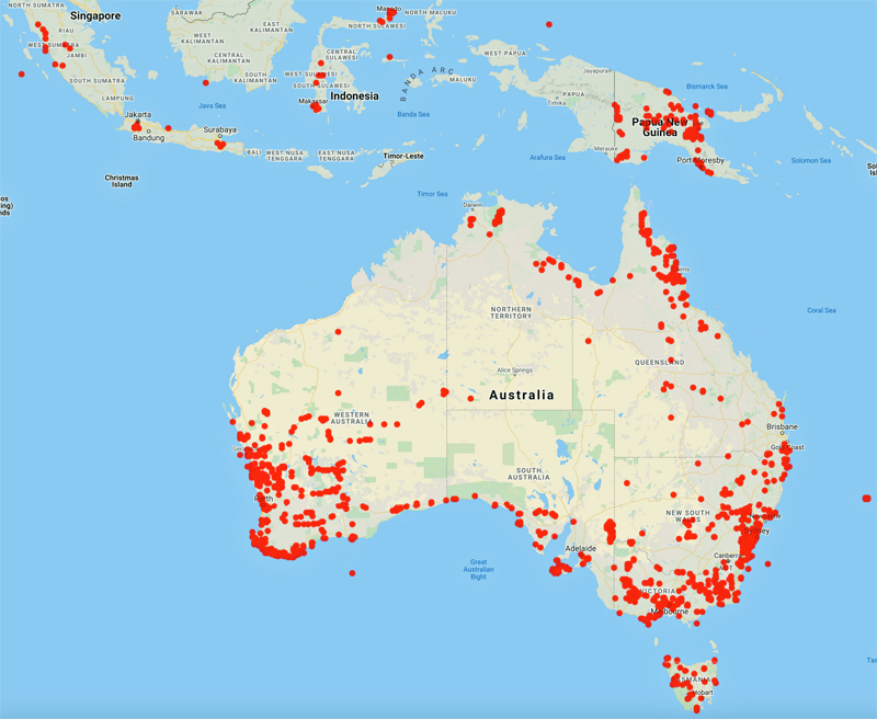 collecting locality Aust-PNG map for 'Conn, B.J.'