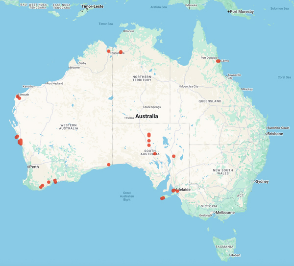 collecting locality map for 'McFarland, N.'