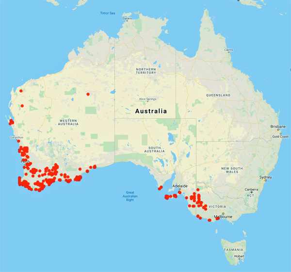 collecting locality map for 'Nelson, E.C.'