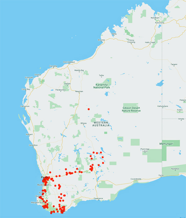 collecting locality map for 'Schock, F.M.C.'