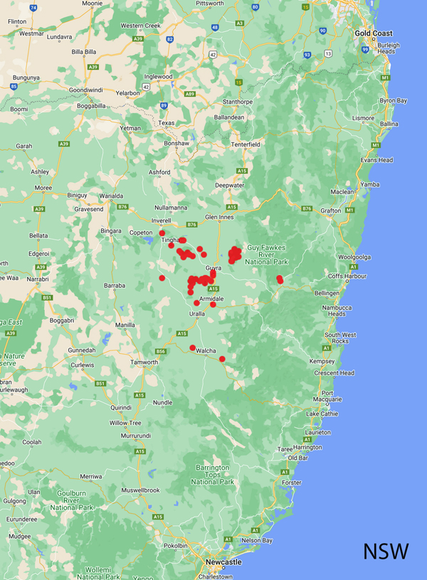 collecting locality map for Youman, T.