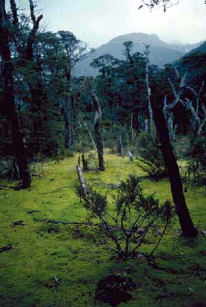 click to enlarge click to enlarge