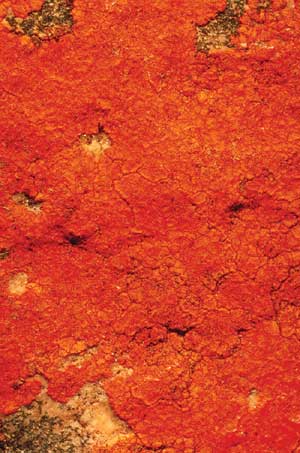 click to enlarge click to enlarge