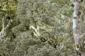 click to enlarge click to enlarge