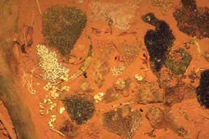 click to enlarge click to enlarge