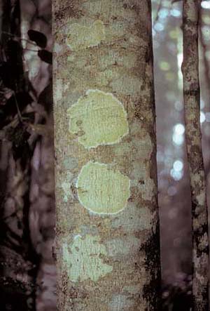 click to enlarge click to enlarge