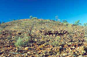 click to enlarge click to enlarge