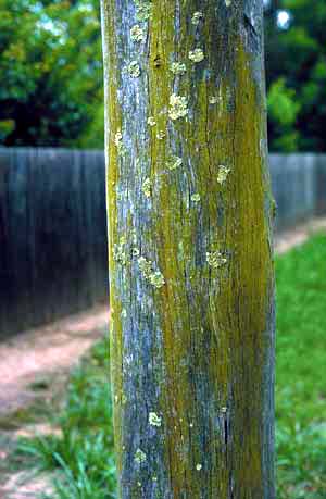 click to enlarge click to enlarge