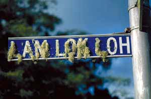 click to enlarge click to enlarge