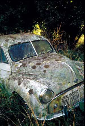 click to enlarge click to enlarge