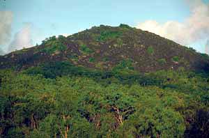 click to enlarge click to enlarge