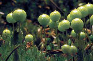 click to enlarge click to enlarge