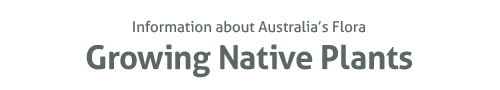 Information about Australia's flora Growing Native Plants - Information about Australia's Flora