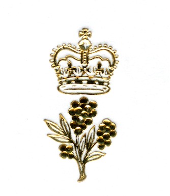 APII jpeg image of Acacia pycnantha  © contact APII