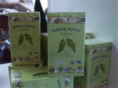 APII jpeg image of Backhousia citriodora  © contact APII