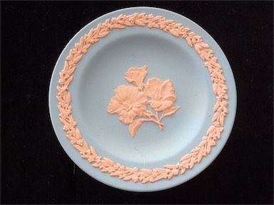 APII jpeg image of Gossypium sturtianum  © contact APII