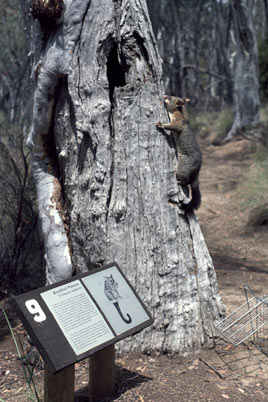 photo &copy; contact APII