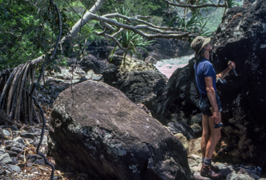 APII jpeg image of Lichens  © contact APII