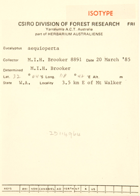 APII jpeg image of Eucalyptus aequioperta  © contact APII