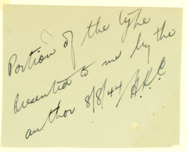 APII jpeg image of Eucalyptus radiata x dives  © contact APII