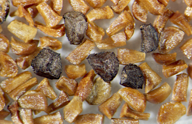 APII jpeg image of Eucalyptus tereticornis subsp. mediana  © contact APII